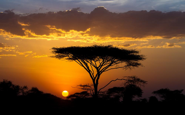 Solnedgangene i Afrika er meget smukke. Men hvad betyder det, når personerne i "Eksil" taler om at tage en "sundowner"?
